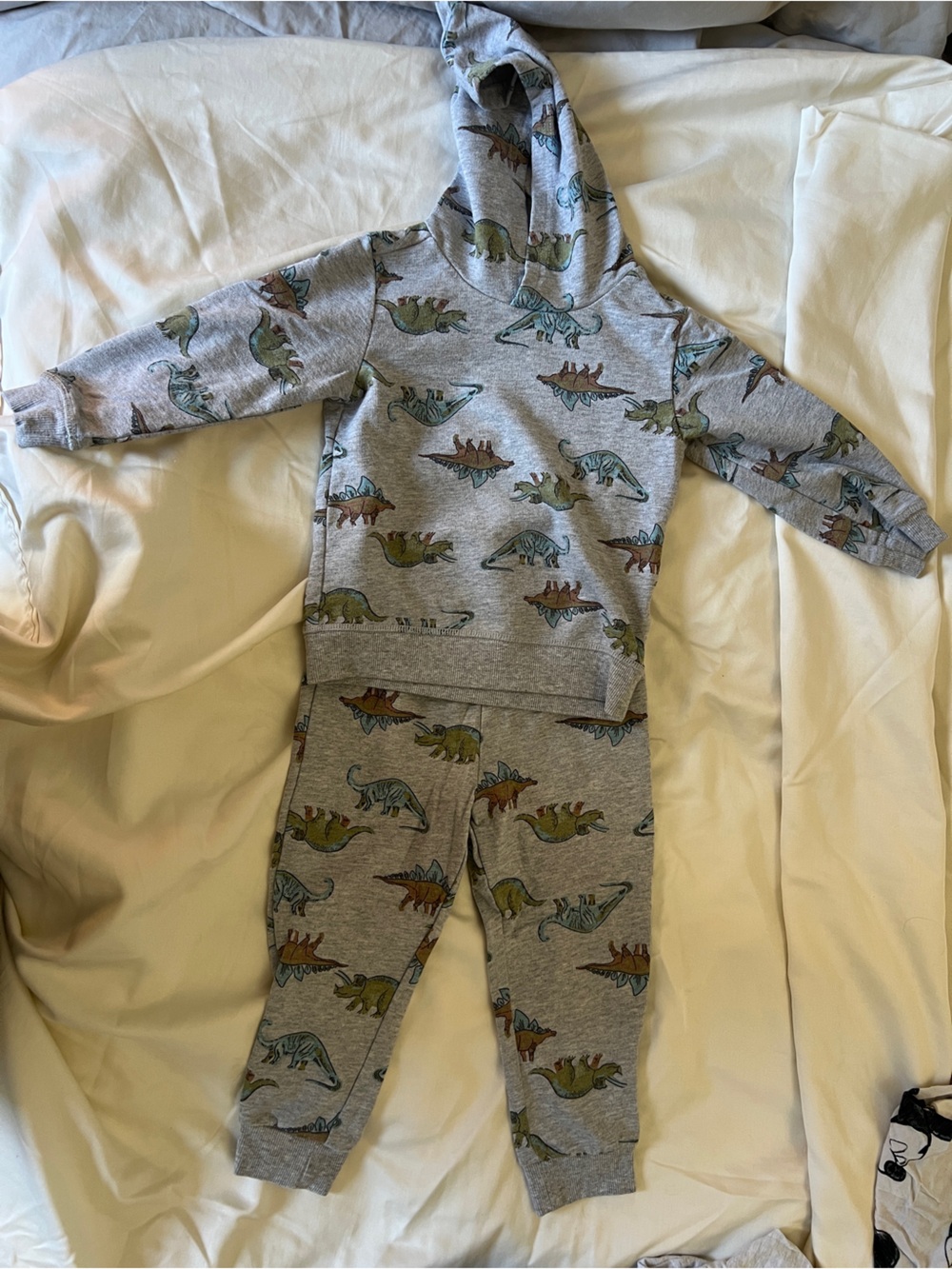 Carter's Grey Hoodie and Jogger Set with Dino Print